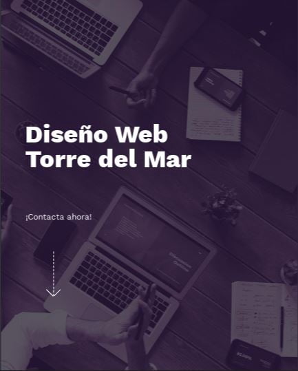 Diseño web Torre del Mar