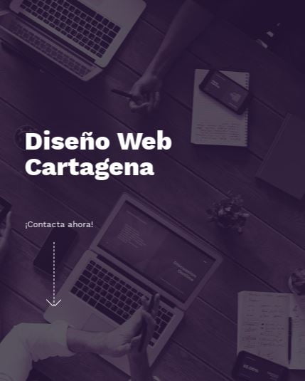 Diseño web cartagena