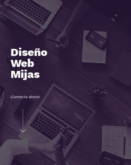 diseño web mijas